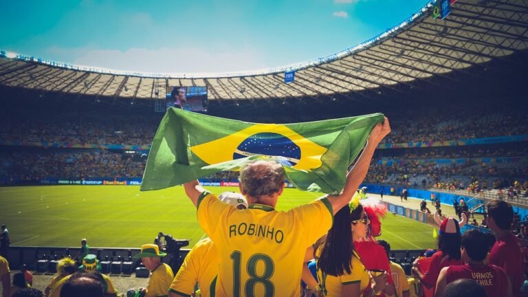 people, soccer, stadium, crowd, audience, sports, flag, game, match, football, cheering, brazil flag, brazil, brazilian, championship, soccer field, world cup, robinho